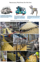 Semi-automatische, volautomatische, industriële, complete turnkey, professionele lijn voor de verwerking van aardappel-frites