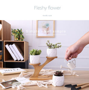 Pot de <span class=keywords><strong>fleurs</strong></span> créatif de qualité supérieure en céramique décorative, avec cadre écologique classique en forme de hibou et emballage combiné en boîte avec insert. - Product Image 3