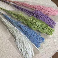 Harga Grosir Bunga Chasmanthium Kering Berkualitas Tinggi 40-50g, Bunga Artifisial Awet 60-70cm untuk Hari Valentine Natal