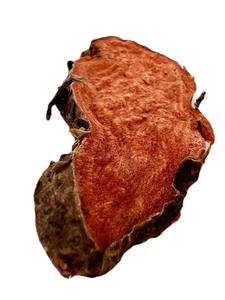 Toptan sağlık sınıfı Rhodiola Rosea bitkisel Hong Jing Tian fayda erkekler - Product Image 3