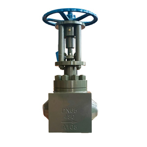 Vanne à soupape en acier forgé A105 PN480 DN65 pour centrale électrique, à souder bout à bout, anti-refoulement - Product Image 1