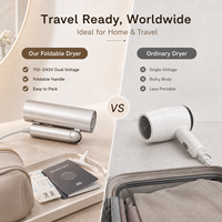Sèche-cheveux pliable BLDC OEM ODM en promotion, double tension 110-240V, 1500W, avec concentrateur et diffuseur, idéal pour les voyages
