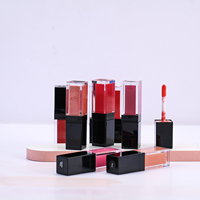 OEM Lipgloss Vegan Cruelty Free Lipstick Waterproof Long Lasting Lip Gloss Nourishing Beauty Liquid Lipgloss