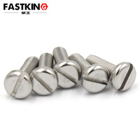 Vis à tête cylindrique fendue M3 en acier inoxydable SS316