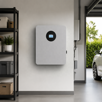Batterie solaire hybride murale 10,24 kWh 51,2 V 200 Ah pour la maison, avec fonction de sauvegarde pour les systèmes résidentiels hors réseau (CAN)