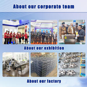 베이헹 휴대용 트럭 계량기 스테인리스 터치스크린 디스플레이 OEM 맞춤형 차축 저울 - Product Image 5