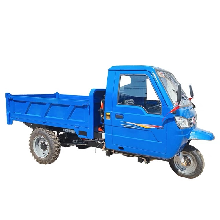Cargoes diesel Engine Tricycle with Closed