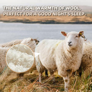 لحاف شتوي مطبوع حسب الطلب عالي الجودة بدون رائحة دافئ من البوليستر/القطن للاستخدام المنزلي والفندقي - Product Image 5