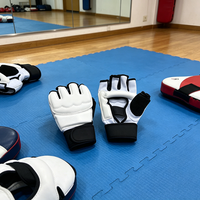 Nouveaux gants d'entraînement de taekwondo de haute qualité, design personnalisé, vente en gros, meilleur prix