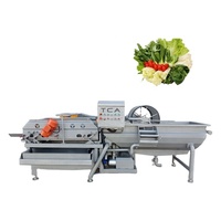 Commerciële Salade Sorteren Wassen Snijden Groente Fruit Wasmachine Machine/Groente Fruit Processing Lijn