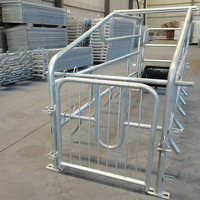 Cage de mise bas économique pour truies 2,2*0,7m, lit simple pour truies, positionnement des truies, ferme d'élevage avec abreuvoir en acier inoxydable en option