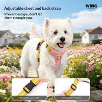 Harnais pour animaux de compagnie transfrontalier anti-traction et anti-évasion avec ailes 3D, laisse pour chien en polypropylène pour usage extérieur