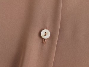 Top Chic da donna 2024 primavera nuova camicia drappeggiata in raso 16 colori retrò <span class=keywords><strong>camicetta</strong></span> con bottoni a maniche lunghe autunno - Product Image 6