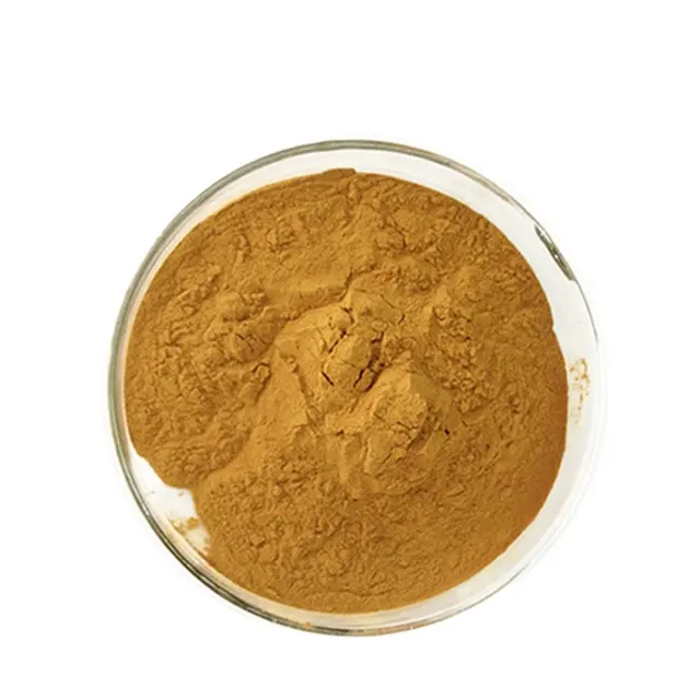 Wholesale Organic Ginkgo Biloba Extract Powder 24% Flavone Artificially Planted Seed Supplement Various Can Capsule Liquid