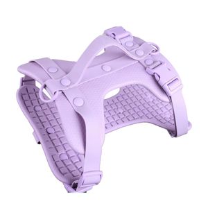 Arnés para Perro Personalizado al por Mayor <span class=keywords><strong>2026</strong></span>, Ajustable, Ligero, Impermeable, con <span class=keywords><strong>Collar</strong></span> y Correa de Goma Suave para Todas las Estaciones - Product Image 1