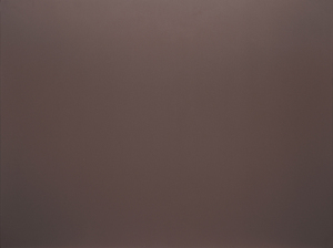 Feuille décorative d'acier inoxydable de panneau de peinture de fluorocarbone multicolore faite en usine professionnelle - Product Image 6