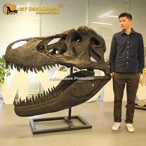 Cuir My Dino taille de vie, dinosaure, tyrannosaure, crâne <span class=keywords><strong>Rex</strong></span> - Product Image 4