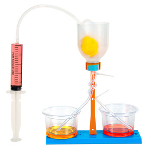 Experimento Científico de Gravedad <span class=keywords><strong>Universal</strong></span>, Kit de Bricolaje para Niños, Paquete de Imanes de Madera y Metal Hechos a Mano, Simulación de Modelo de la Luna y la Tierra - Product Image 5