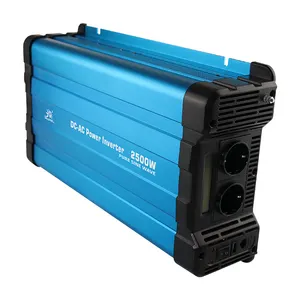 Convertitore di batteria per veicoli a onda sinusoidale pura da 2500W 12 24 48 Volt cc a ca 110 220 Volt personalizzato con doppia presa