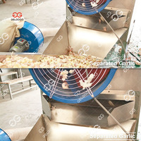 Machine à peler l'ail en acier inoxydable 304, séparateur de gousses d'ail entier, prix de la machine à peler l'ail