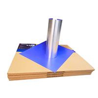 Ordinateur CtP thermique à large tolérance de développeur à la plaque