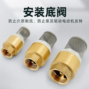 Vanne de retenue verticale en cuivre massif DN15, vanne à pied à 4-6 points avec filtre, anti-retour pour pompes de puits - Product Image 1