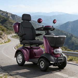 Energy-saving / power-efficient/500W motor/LED lighting/electric lightweight scooter/ Laoniuren Travel/Spirit-2 - Product Image 1