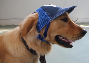 Sombrero de Viaje para Mascotas, Gorra para Perros, Gorra de Béisbol de Malla para Mascotas - Product Image 6