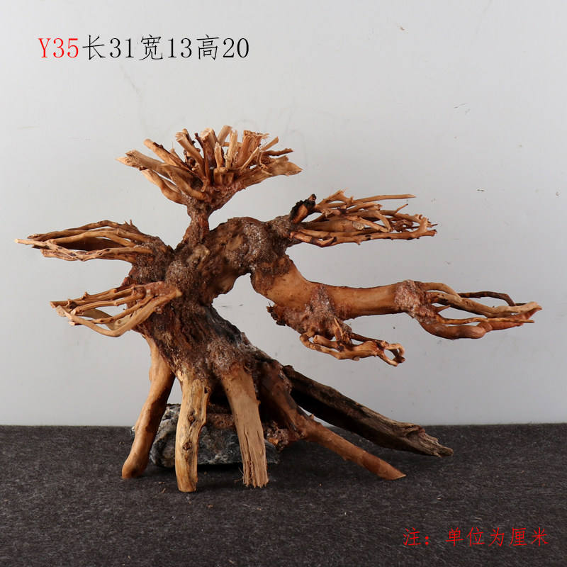 สีน้ำเงินนกยูง y35