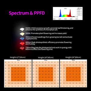 Andy Hot Bán quang phổ đầy đủ lm301h <span class=keywords><strong>lm281</strong></span> + Có thể gập lại 650 Wát trong nhà LED phát triển cây ánh sáng cho Veg nở - Product Image 5