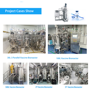 Biorreactor Aséptico de Acero Inoxidable de 1000L, 2000L, 4000L, Recipiente de Proceso con GMP y PLC para Producción de Vacunas - Product Image 3