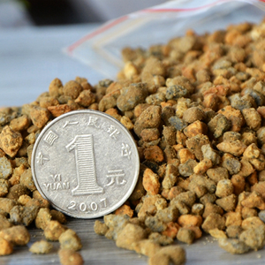 Sable <span class=keywords><strong>Kiryu</strong></span> de qualité supérieure pour la culture des bonsaïs, Kiryuzuna - Product Image 5