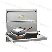 Réchaud NF diesel DC12V 2.2kw rv camping-car caravane diesel table de cuisson et chauffage diesel air poêle cooker combi heater
