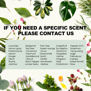 Fragrance Perfume 1000 Pure Oils Aromas Aroma Pure Concentrated Essential Oil Rose <strong>Lemon</strong> Eucalyptus Lavender Ginger 100ml - Product Image 2