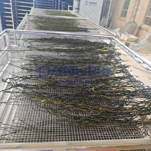 Four de séchage à pompe à chaleur écoénergétique pour haricots verts, équipement de déshydratation - Product Image 1