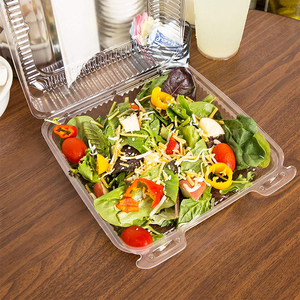 Customization Plastic PET One Compartment Clear Hinged container Rectangular Plastic Salad container
