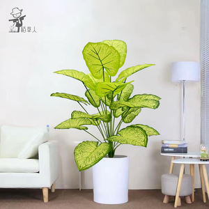 Plantas Verdes Simuladas, Árboles Artificiales, Lirios Calla en Maceta al por Mayor, Decoración del Hogar, Arreglos de Paisajismo para Hoteles y Jardines - Product Image 2