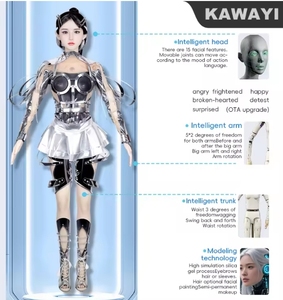 Sıcak satış OEM hükümet salonu insansı Robot AI kadın otomatik mobil resepsiyon Robot App kontrolleri insansı güzellik Robot - Product Image 2