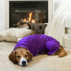Peignoir de bain super absorbant Petdom pour animaux de compagnie, serviette de séchage rapide en microfibre luxueusement douce pour chiens - Product Image 2