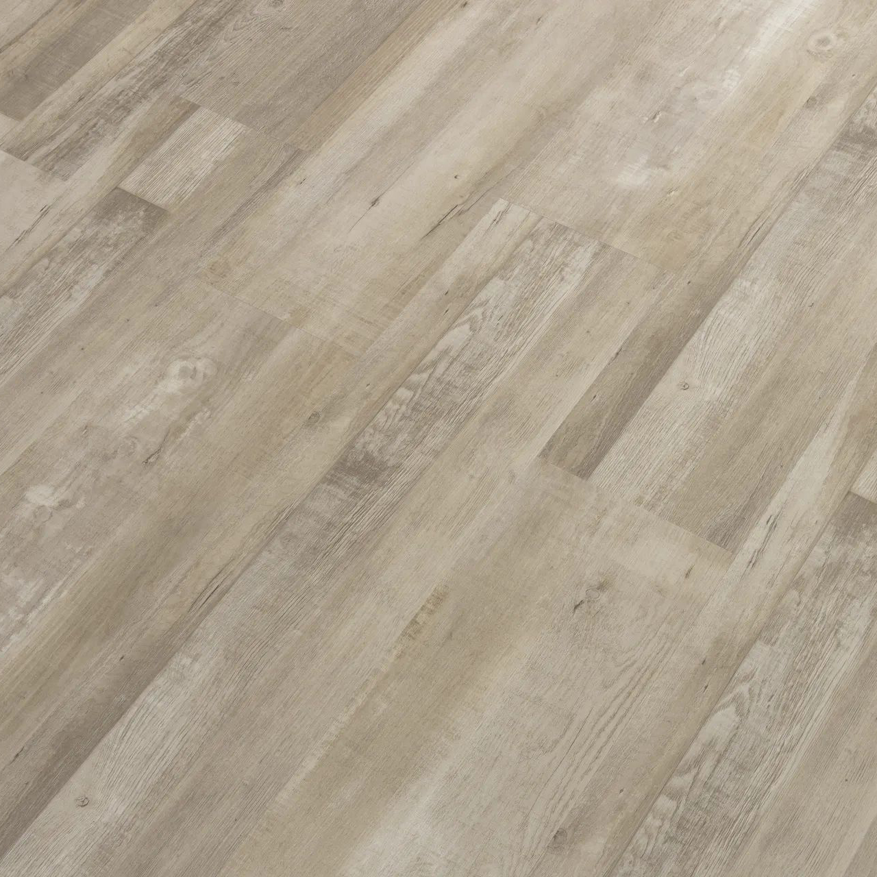 สีดำสีกากี