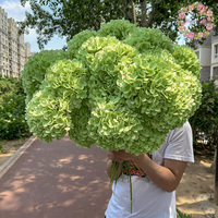 Bunga Hydrangea Hijau Besar 21cm Terlaris, Bunga Sutra Buatan Kepala Tunggal untuk Dekorasi Acara Pernikahan