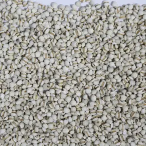 Best Price Coix Seed Yiyi Yen/ Wholesale Coix seed job`s tears seed from china