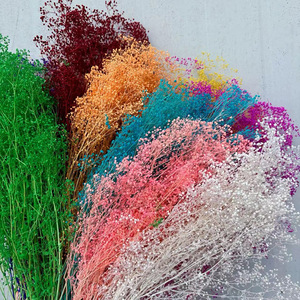 Flores Secas y Preservadas de Gypsophila de Color Brillante para Decoración del Hogar, Precio de Fábrica - Product Image 4