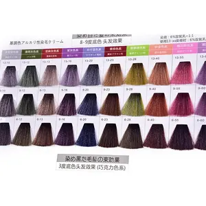 Professional factory pricehairdresser salon hair color swatch color chart supplier