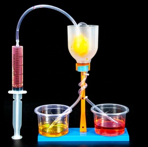 Modèle de nerf rénal en plastique pour petit expérience scientifique DIY, technologie de filtration rénale, pour enfants de 5 à 7 ans et collégiens, urine simulée - Product Image 5