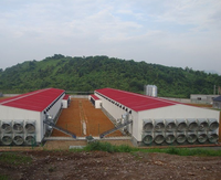 Nouvel équipement d'élevage avicole automatique en acier inoxydable, portable et sur pied, pour mangeoires à poulets, fourni par l'usine chinoise