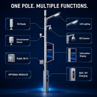 Poste de Alumbrado Público Inteligente con Cámara PTZ HD, Pantalla LED, Carga para Vehículos Eléctricos, Infraestructura Inteligente Personalizada para Ciudades