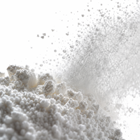 Défloculant et Dispersant en Poudre de Tripolyphosphate de Sodium (STPP) de Qualité Céramique pour la Production de Carreaux et Matériaux de Construction