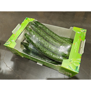 Yuexin kích thước tùy chỉnh chuối khoai tây cam sóng vận chuyển hộp ply3 5 tông giấy carton không thấm nước PP SPC xử lý thư mục - Product Image 4