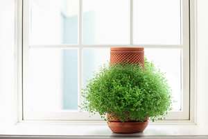 Elegante maceta de cerámica de terracota con riego automático, elegante revestimiento duradero para <span class=keywords><strong>vacaciones</strong></span> en dormitorio para plantar uso diario - Product Image 6